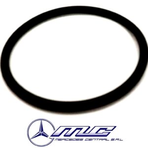 O-RING TERMOSTATO OM366/904 ORIGINA