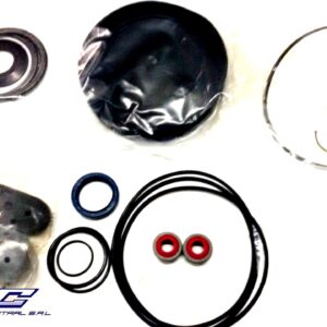 KIT REP.CAJA DE D/H ZF OF1417